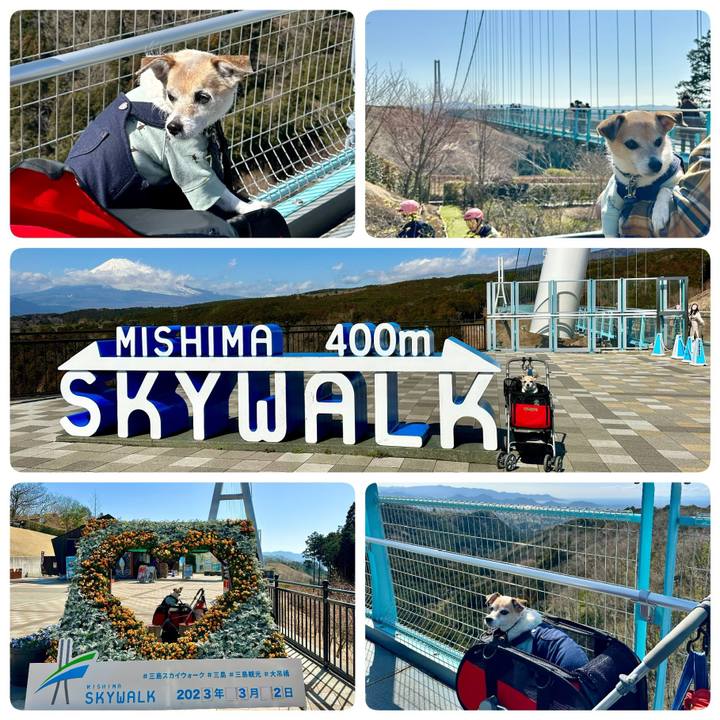 4c4d59e8 b300 487e b0be 089112385877 1677992405278