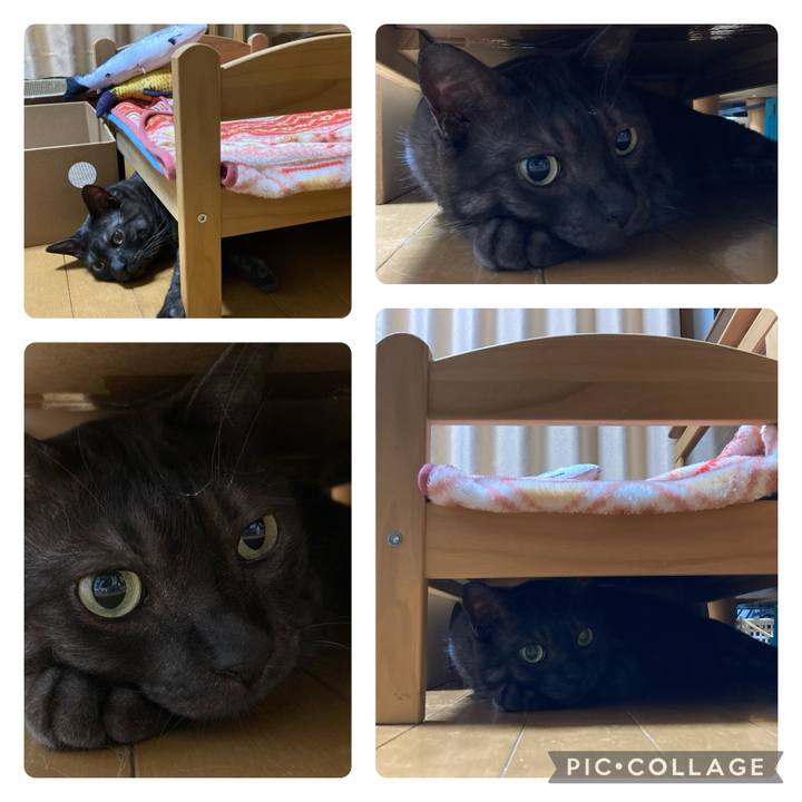 4c4d8291 2af8 4eae aa3e 10facc7e632f 1707690959859