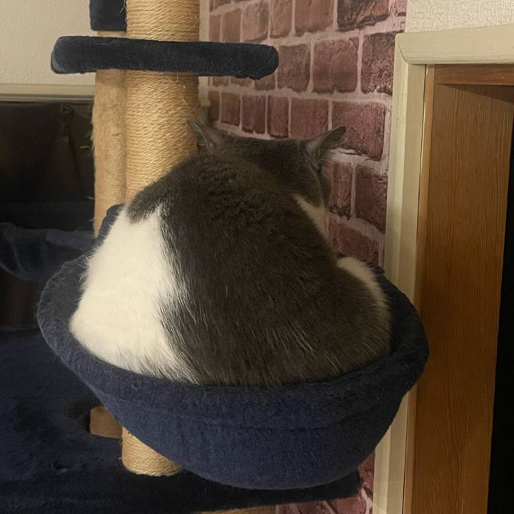 4c4db7dd 151d 44bf 94bf 2aff78efcb5b 1734259914176