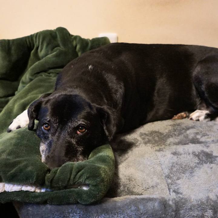 4c4dce82 1086 4d14 841e f8c5dc74eaad 1766572898885