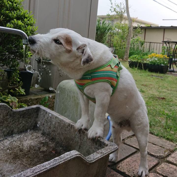 4c4df431 2452 46be aa67 f599f6a303fc 1556926382231