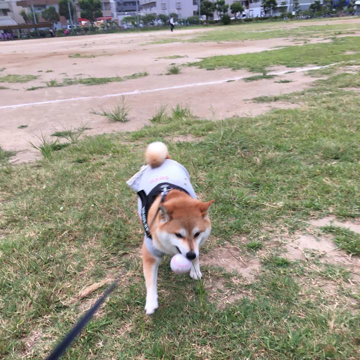 4c4e1a3b 7db4 4635 bb97 54412b0ebdd0 1532683767728