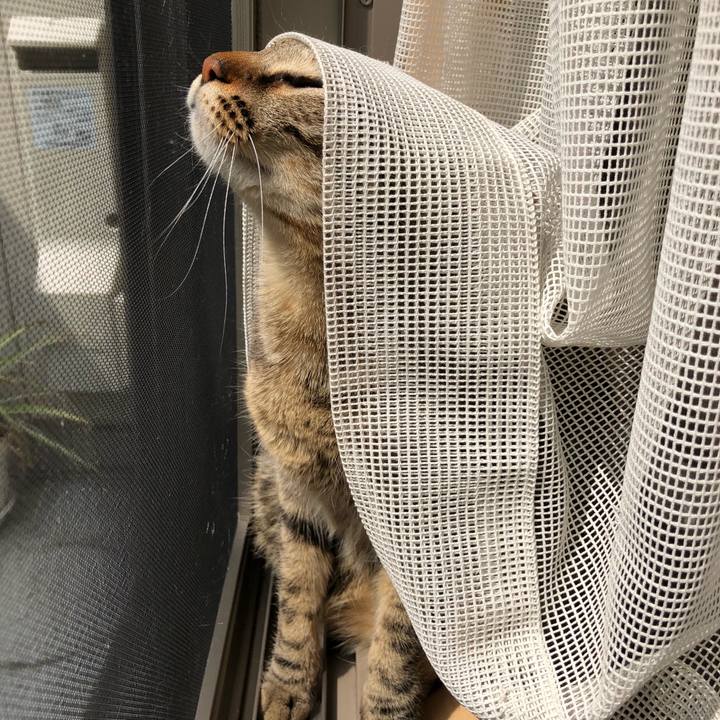 4c4e1fdb 643d 40b1 9086 a58273bdf39b 1522122379170