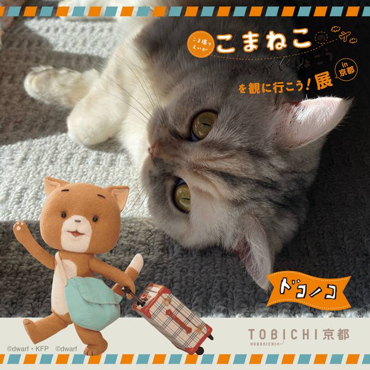 4c4e23df 0407 4680 b15a 7fe88377bf68 1740271615493