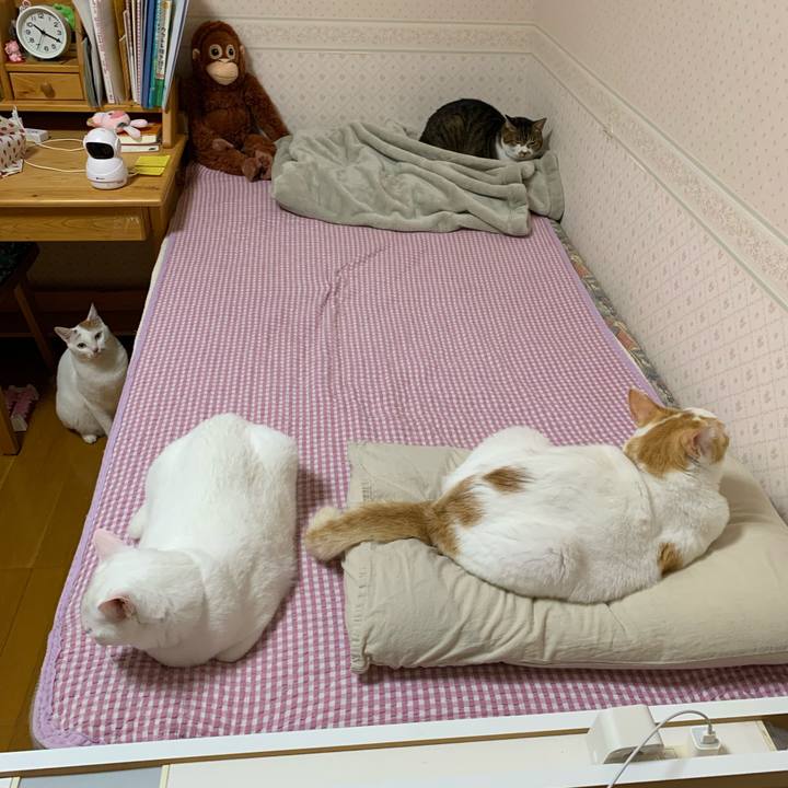 4c4e62bf b096 45aa b527 ef4c7b64bcae 1635254404249