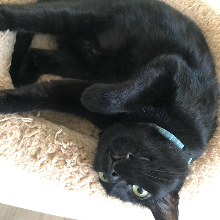 4c4e7be3 0785 4a83 84d4 1f6f4b3b9745 1566638407232