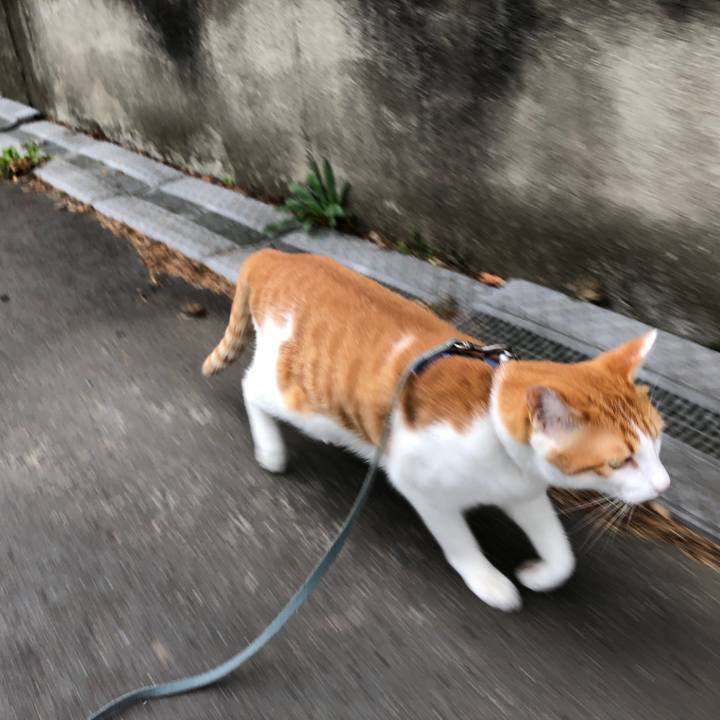 4c4e7c6b 0215 47fc 8c97 b1b2471bf50a 1539155342918