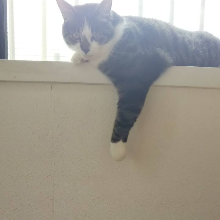 4c4e90d9 4239 4b1a 8f12 6017ccbe4518 1611234032528