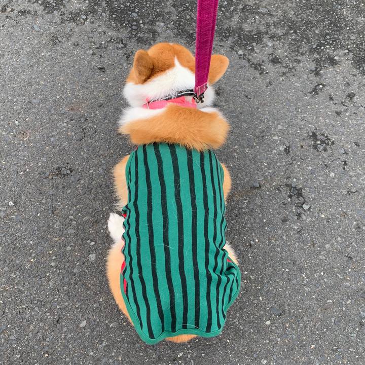 4c4e9510 1a16 458c 9663 734cfdd5b7cf 1567134410917