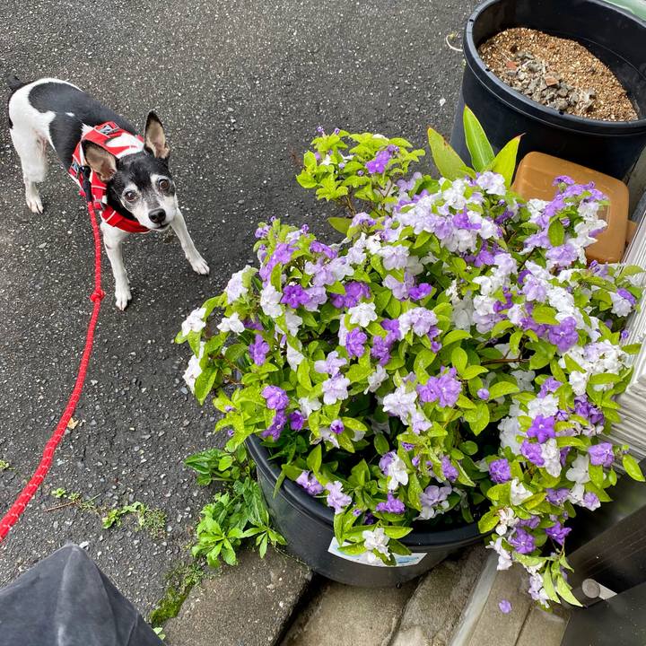 4c4e96b6 3e9f 4d38 94cf ccc3f940fdbc 1620256012096