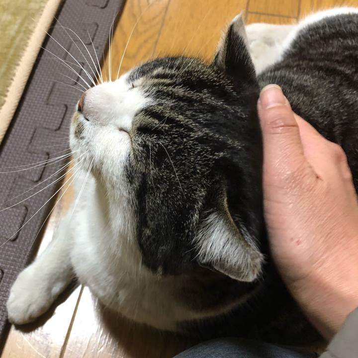 4c4e9c4d 98eb 4da8 ac1c 9d85a7111a45 1549626005065