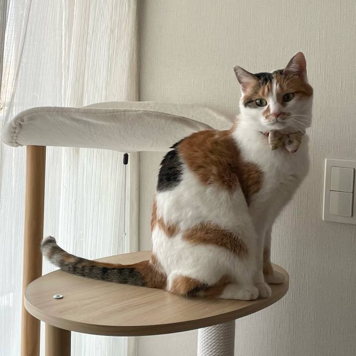 4c4ea281 839c 434a b1da 99872b14c34e 1643067094876