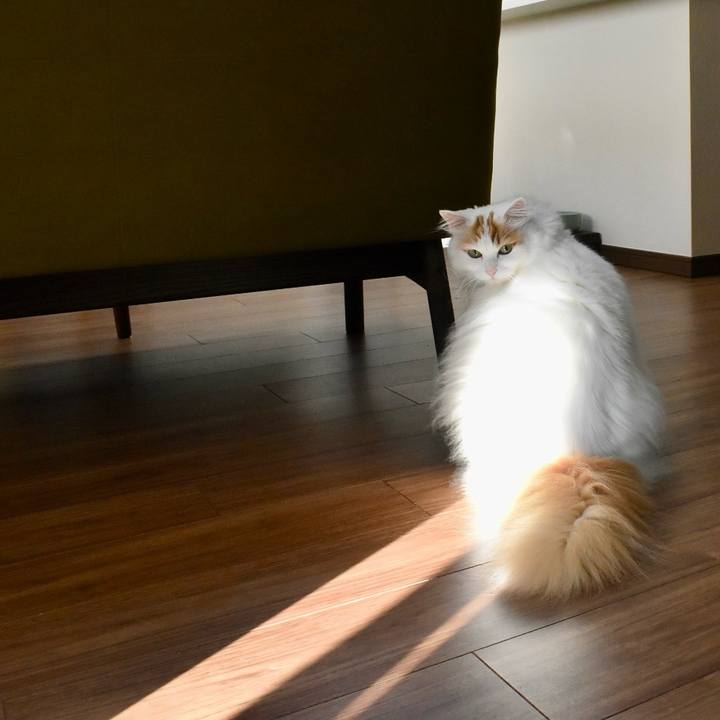 4c4ed641 7854 47d3 88a3 55a20cf86f67 1772768320711