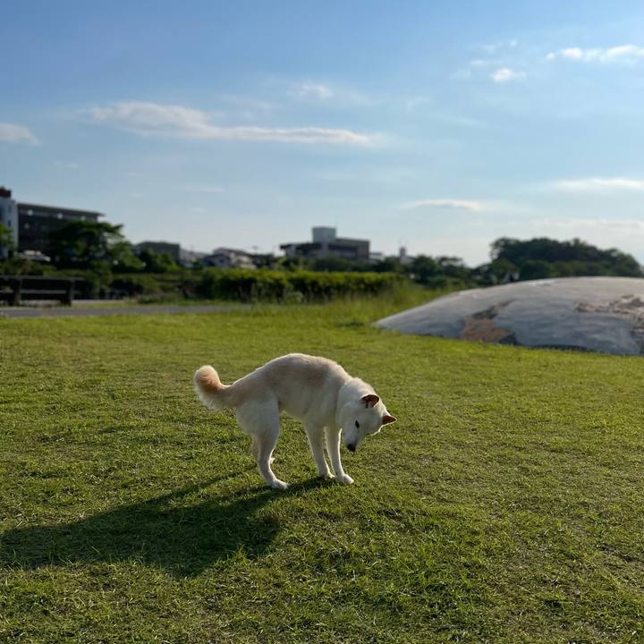 4c4ef07d 12d5 443c adb0 605f1bc83870 1652883091440