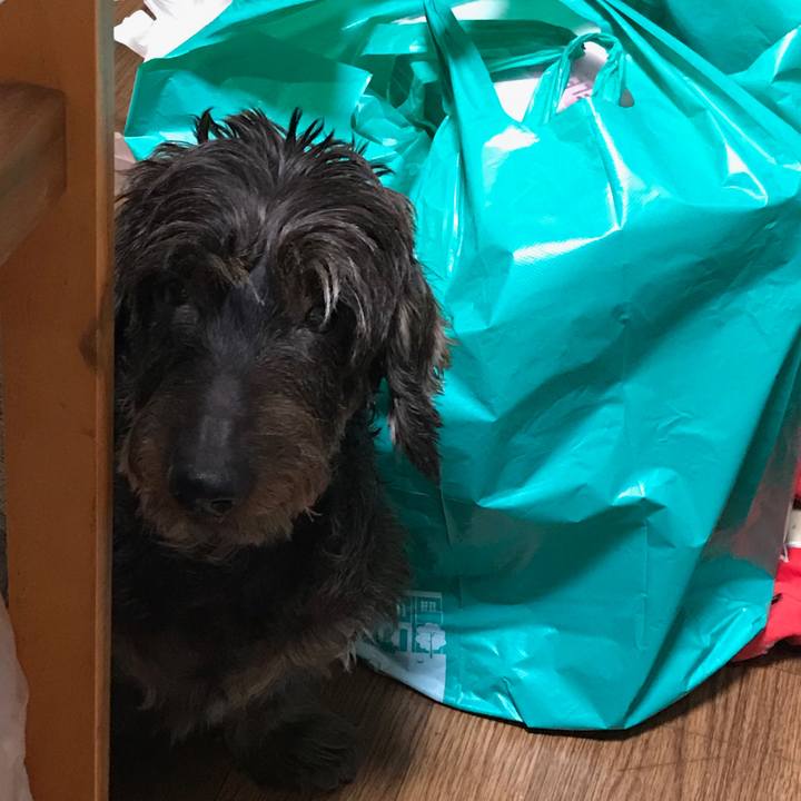 4c4f210a 5770 4e03 9c34 d7c39a5458f4 1539504212859