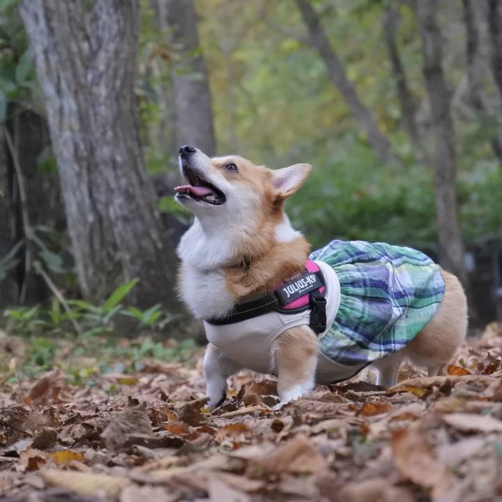 4c4f30f3 faa0 4794 9c36 ed94011dc4de 1602990531838