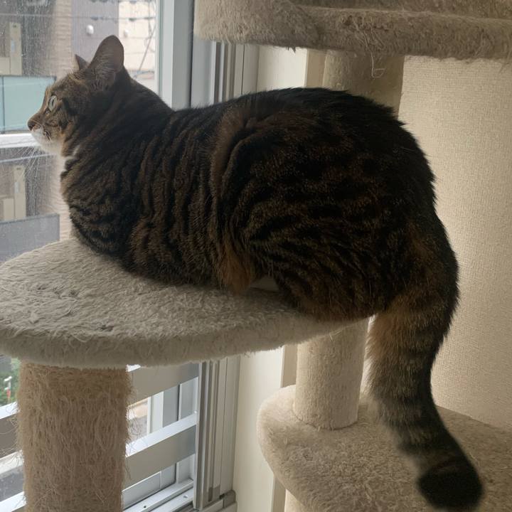 4c4f38e8 c946 4099 aee8 c4694e2bb2bf 1663022994548