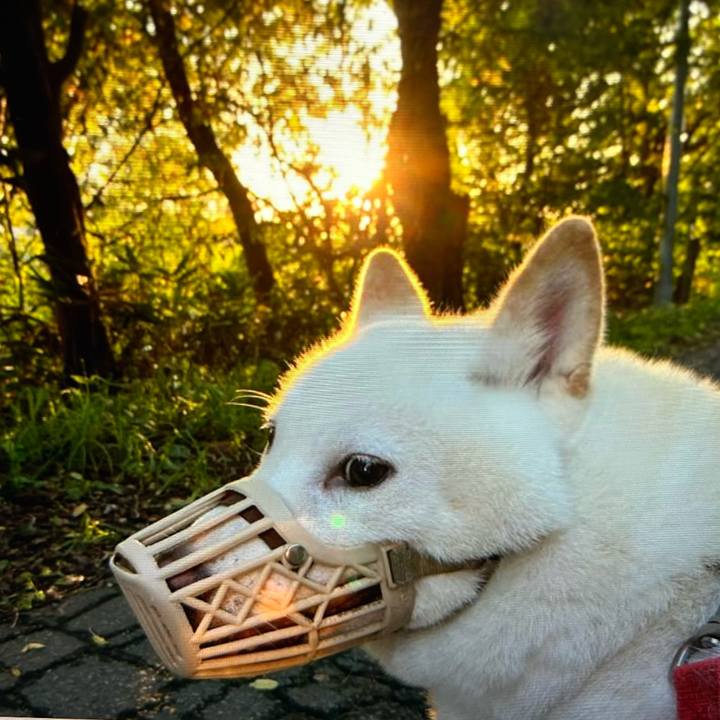 4c4f4692 1abc 49b8 a0ba 413b4aa1de3d 1775256172547