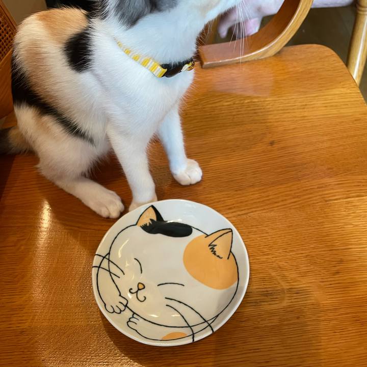 4c4f4b8b a4da 483a 951a 83b4f688ed89 1659834759226