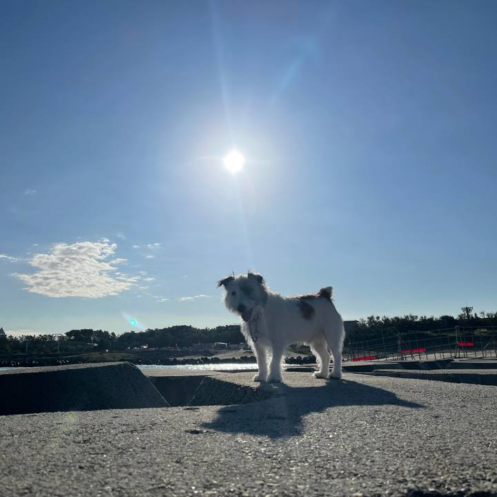 4c4f5594 e1f5 41a6 bc59 4a0e7160c244 1633567340955