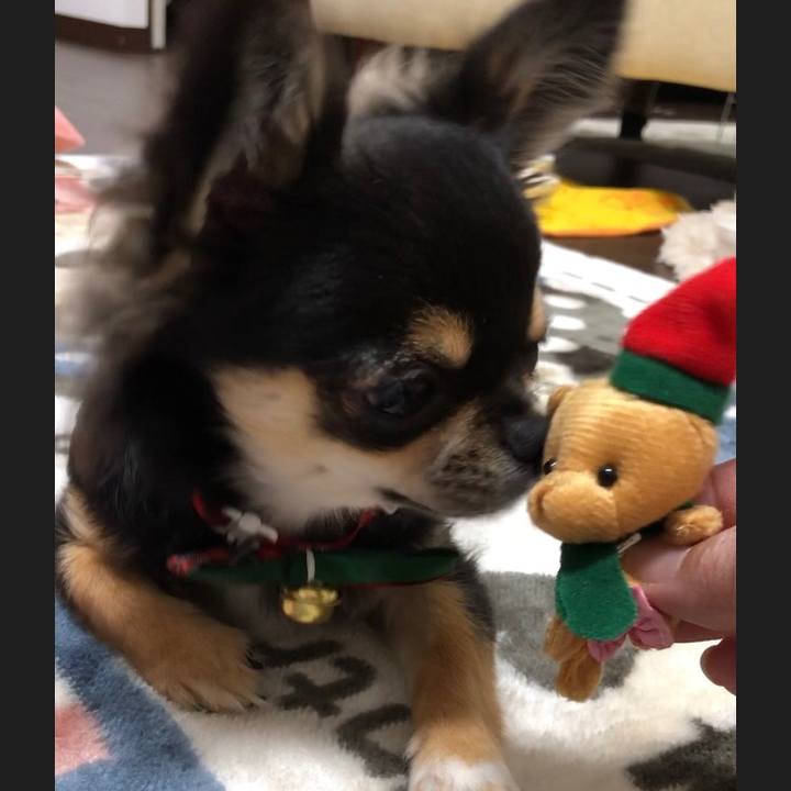 4c4f76b3 5ff2 40e0 9b7c 2e08e0e08c52 1545561244071