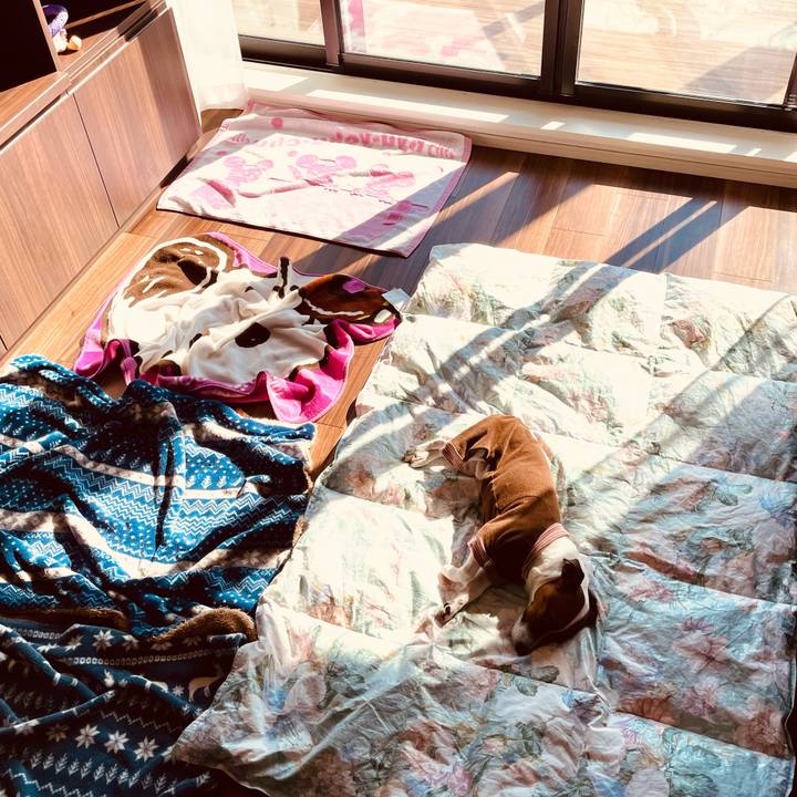 4c4fa2dd eb04 4feb 83d3 b46500be57db 1646353462917