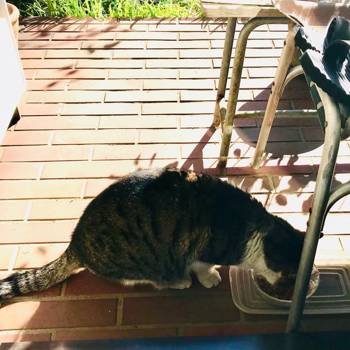 4c4fb1ef 49c9 4a1b 9d2d 0ea60f40229e 1515734348654