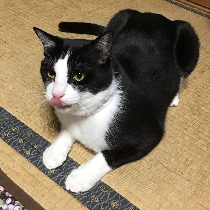 4c4fdaa1 4cde 4eb8 830f f7e058aedcb0 1683377287324