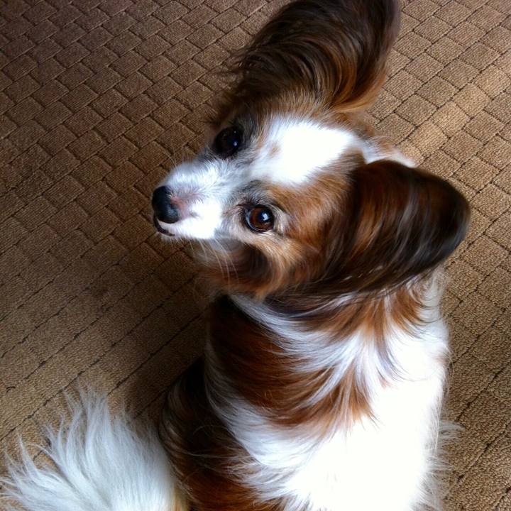 4c4ffb5e 018a 4373 9eef 18deebc55cc5 1513150573323