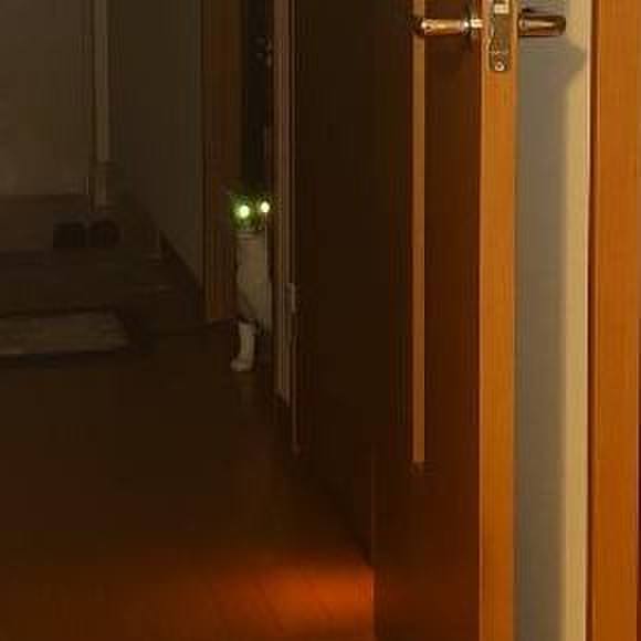 4c5018f3 86df 444f 8c44 776cd839574a 1618491521274