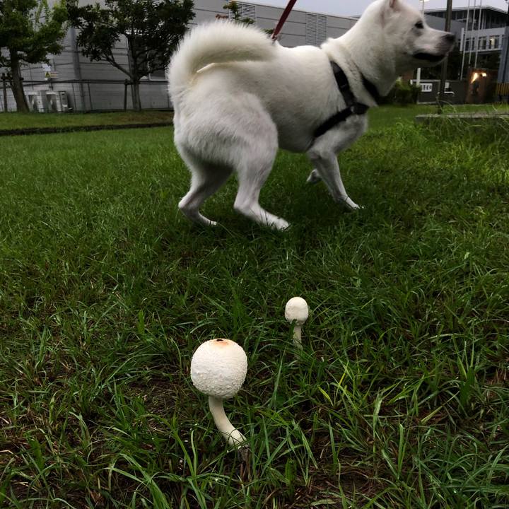 4c5023a0 9dc8 4712 b7df 3cfcc55b35be 1566702480941