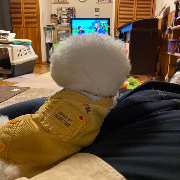 4c502b89 a9bf 47be 8a18 0fff3e25829d 1643192533903