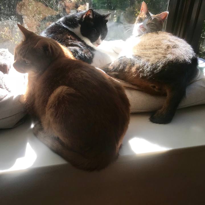 4c502d75 b792 499a a970 c360f50d1d9f 1515222302201