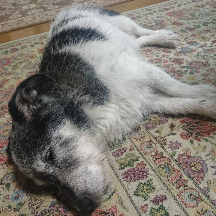 4c508aa6 29ba 4181 ab23 6089bd8bde22 1524621085730