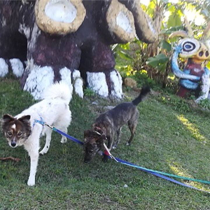 4c50cba4 d73a 46fe b8bd 2f01bfec7480 1579574959493