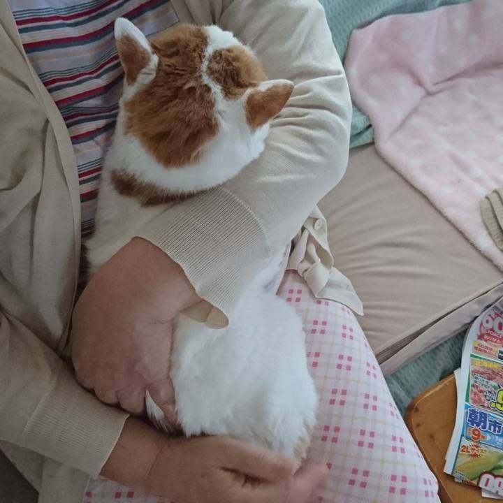 4c514d14 b6dc 4ced ac7f ceedc32e72da 1534545764362