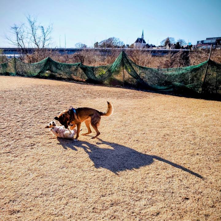 4c517a65 48bb 4ccc b2ed 871f926e373a 1768180249820