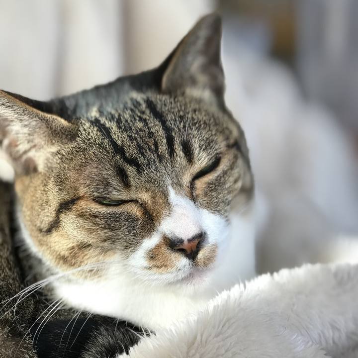 4c518f7c d452 4511 8949 fcf67e36f348 1515893917716