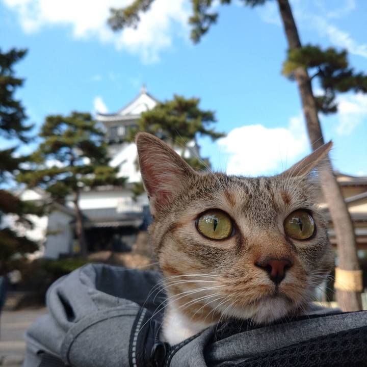 4c51b6b5 8790 4adf b517 4ed5e1535b0a 1635674388496