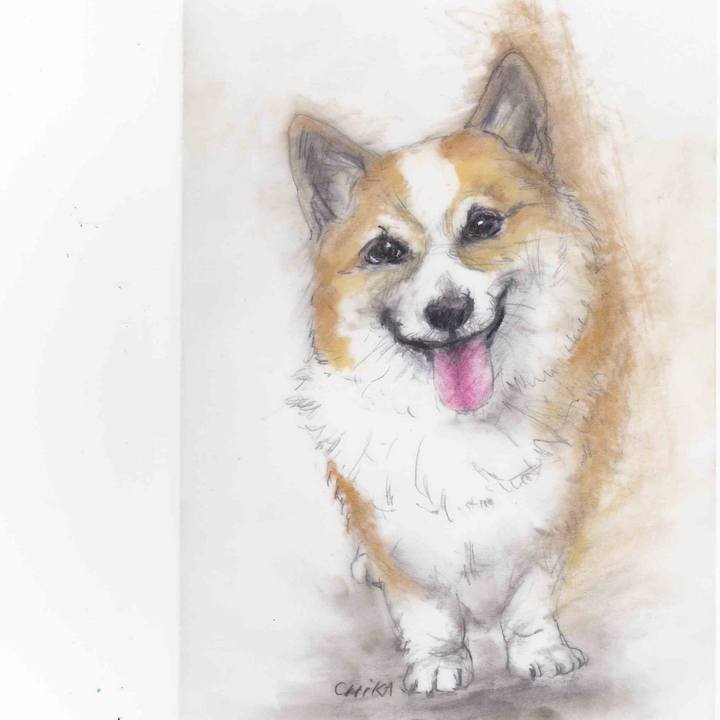 4c51f485 3ba7 4c9f 85ca a1702747ef22 1599576789776