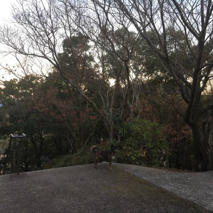 4c5231ec f7a1 4626 a32f 84e51fe5f868 1549377515965