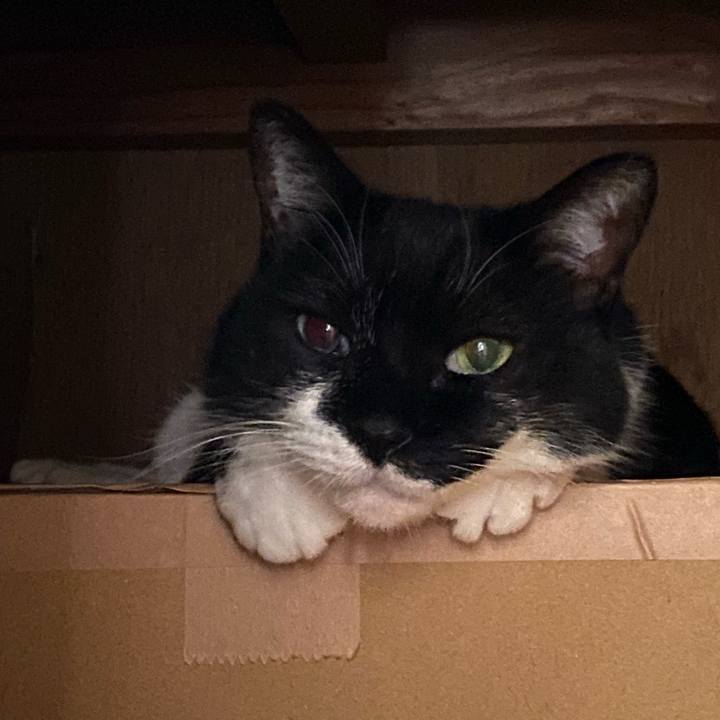 4c52596a bc5d 4c5e af3f ffa001cfe34e 1660914696057