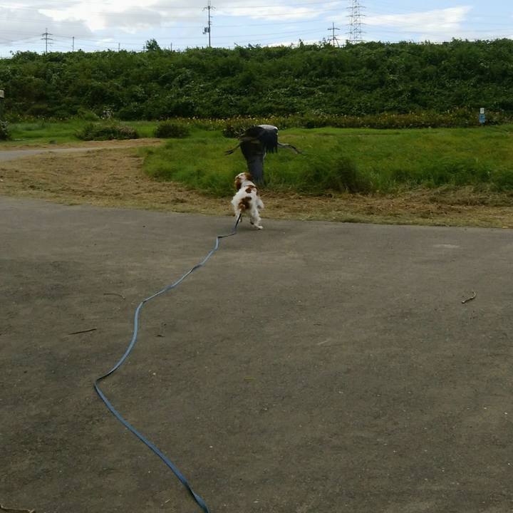 4c52600b e197 4a09 991b 22e57a80a160 1535023748254