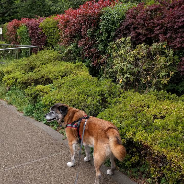 4c52aadf 0b0b 4ce1 9644 149f3f72242a 1524444758727