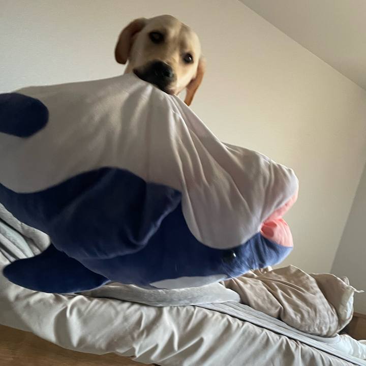 4c52b3e7 1c42 4c36 bf5b 78cda6692585 1640994736012