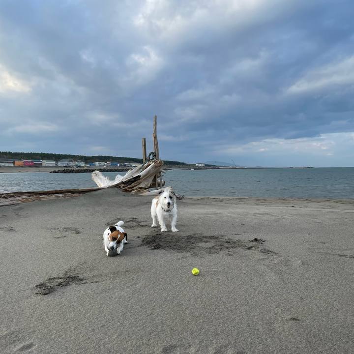 4c52bd13 3391 414a a331 49b184acb28d 1667951319932