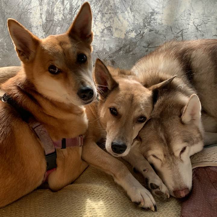 4c52e220 61db 489e a0d6 22f54880beee 1640771090262