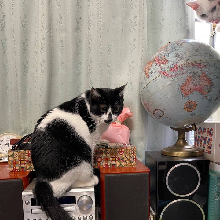 4c531460 66bc 48c7 ba25 538191c87dc3 1758495024639