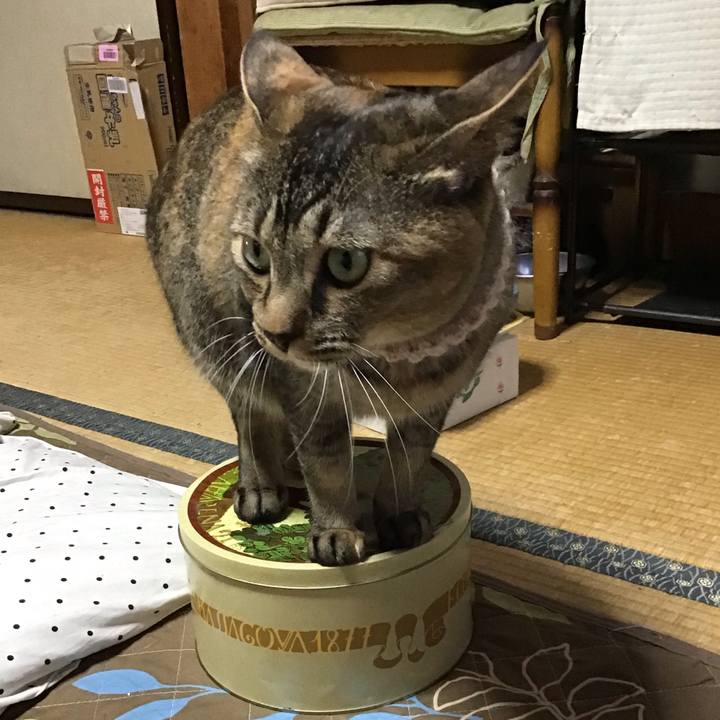 4c5330b5 d5e9 44e4 8292 71edd58939ec 1652870026680