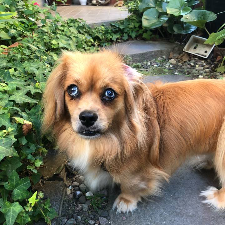 4c533194 c802 4ee7 807f c07728dc0443 1534888049265